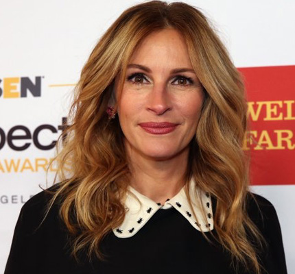 Julia Roberts - Character Example of The Everyman Brand Personality Archetype